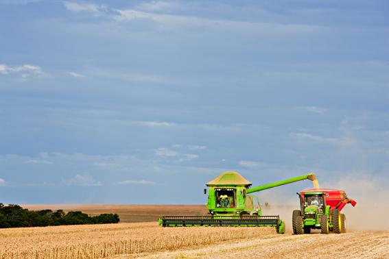 No basta produzir bem para ter sucesso no campo