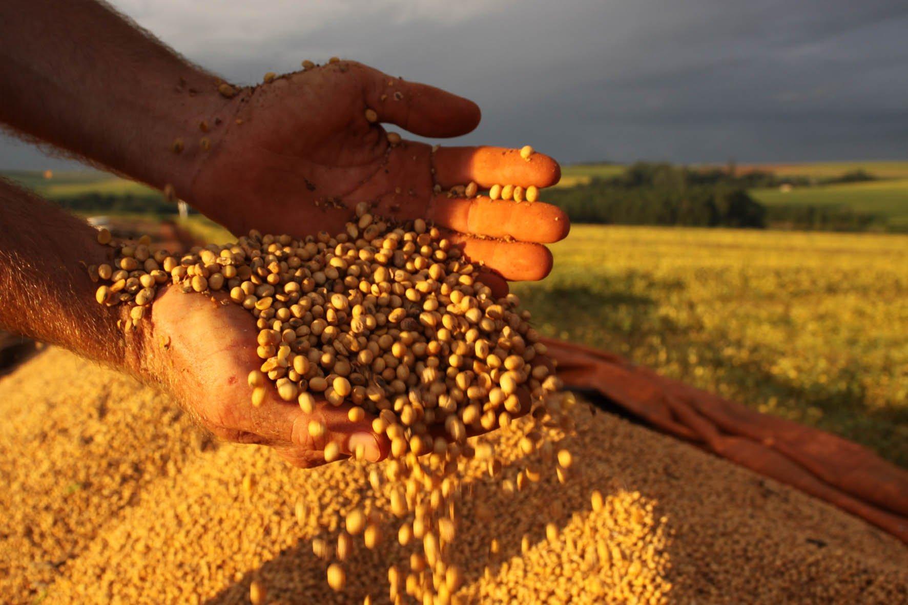 Agricultor, o artfice do novo Brasil