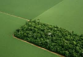 Agricultura  o setor que mais preserva o meio ambiente, afirma Embrapa