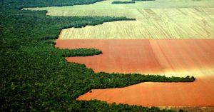 Pode dar certo a Fuso de Agricultura e Meio Ambiente, por Prof. Dr. Marcos Fava Neves