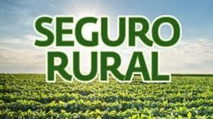 Governo faz ajustes nas regras do Programa de Seguro Rural para o prximo ano