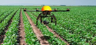 Uso de imagens obtidas com drones para avaliar o estande e o crescimento da soja