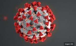 Cloroquina, para tratamento da malária, pode ser esperança contra coronavírus
