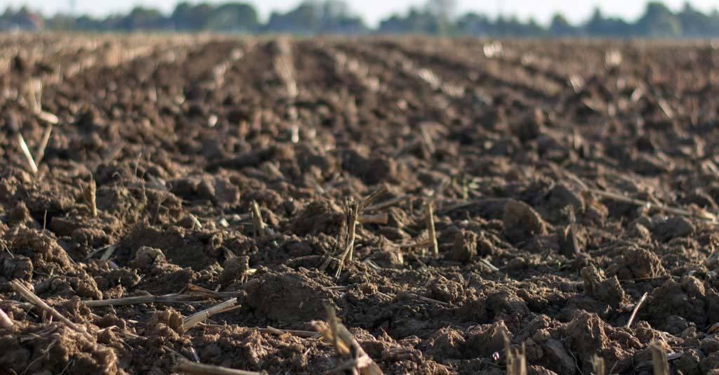 Molibdnio, nutriente essencial na fixao do nitrognio em soja