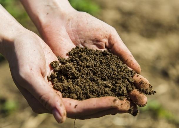 Plataforma PronaSolos indica as potencialidades das terras brasileiras