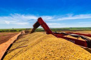 O agronegcio chins prospera, mas ainda precisa do Brasil