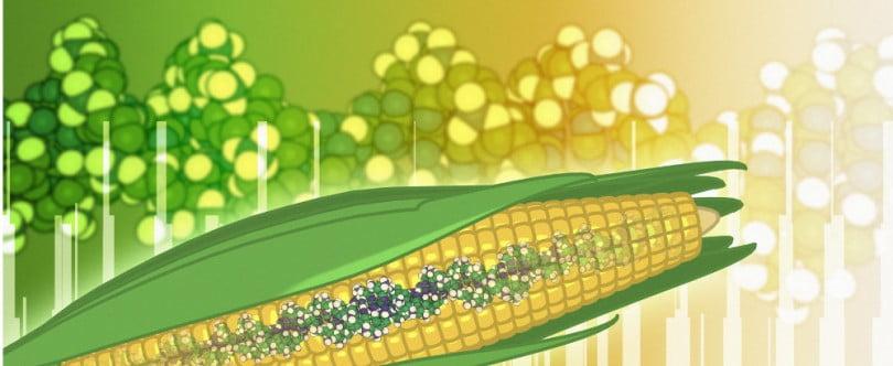 CRISPR: OGM ou No OGM? Chega ao fim o impasse da Unio Europeia