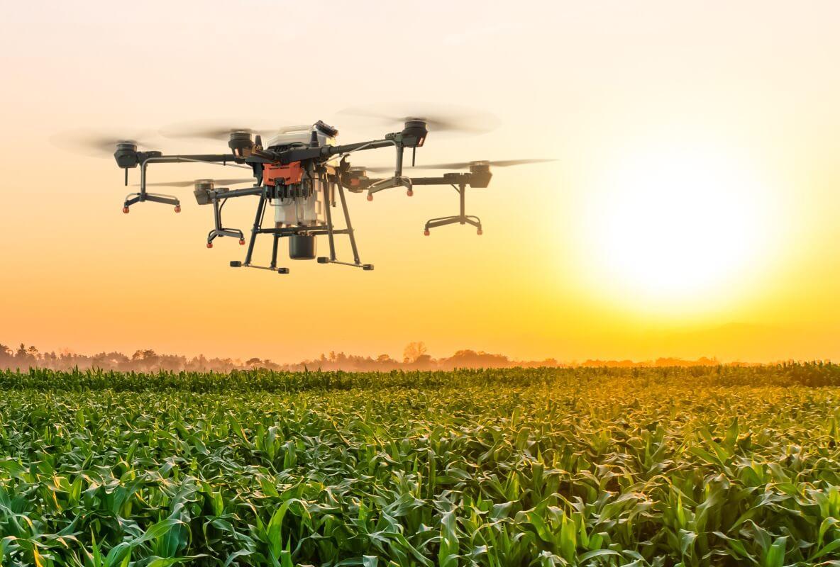 Uso de drones para pulverizao decola na agricultura brasileira
